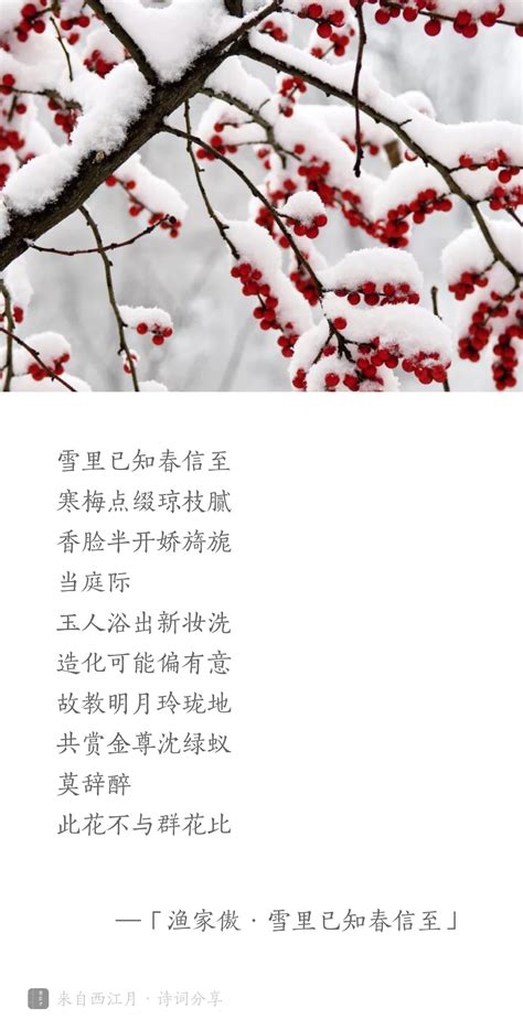 此花知春|詩歌：知春